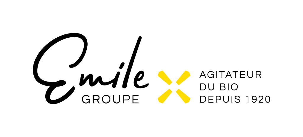 Logo Groupe Emile noir et jaune