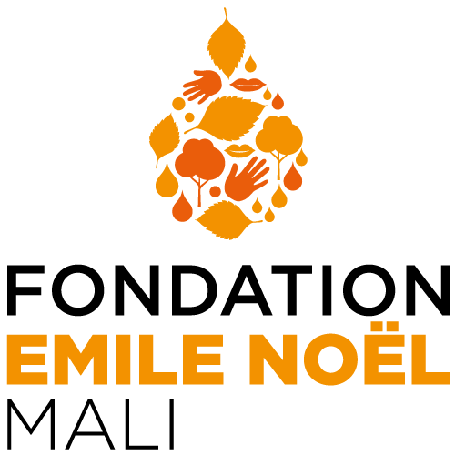 Logo Fondation Mali Groupe Emile