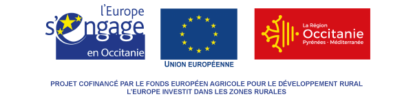 Subvention Europe Groupe Emile