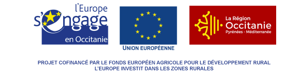 logo subvention europe