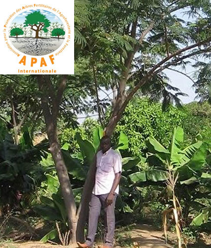 APAF Groupe Emile