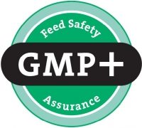 Logo-gmp-international