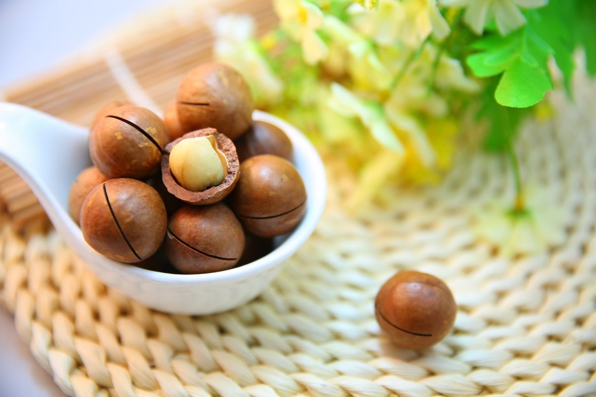 Groupe-Emile-ingredients-et-solutions-huile-macadamia-4.jpg